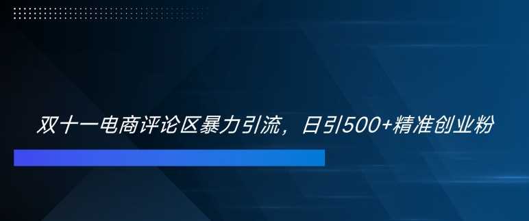 双十一电商评论区暴力引流，日引500+精准创业粉【揭秘】-来友网创