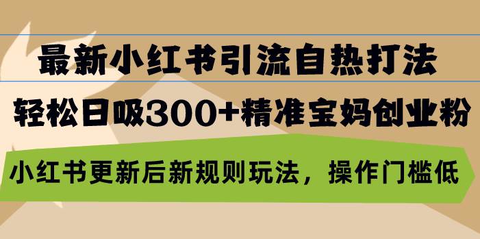 （13145期）最新小红书引流自热打法，轻松日吸300+精准宝妈创业粉，小红书更新后新…-来友网创