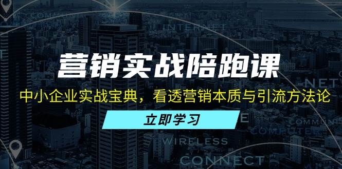 （13146期）营销实战陪跑课：中小企业实战宝典，看透营销本质与引流方法论-来友网创