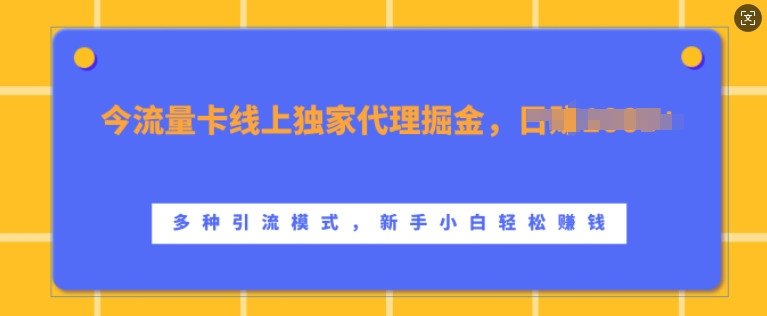 流量卡线上独家代理掘金，日入1k+ ，多种引流模式，新手小白轻松上手【揭秘】-来友网创