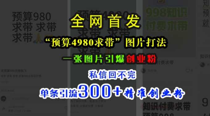 小红书“预算4980带我飞”图片打法，一张图片引爆创业粉，私信回不完，单条引流300+精准创业粉-来友网创