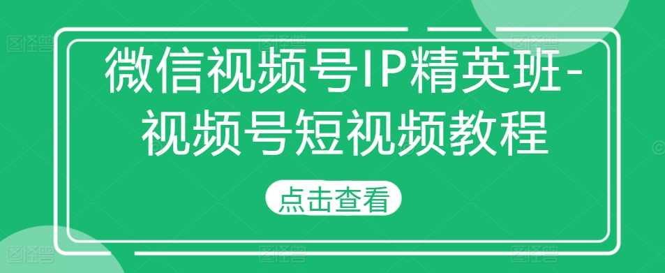 微信视频号IP精英班-视频号短视频教程-来友网创