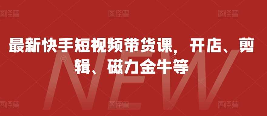 最新快手短视频带货课，开店、剪辑、磁力金牛等-来友网创