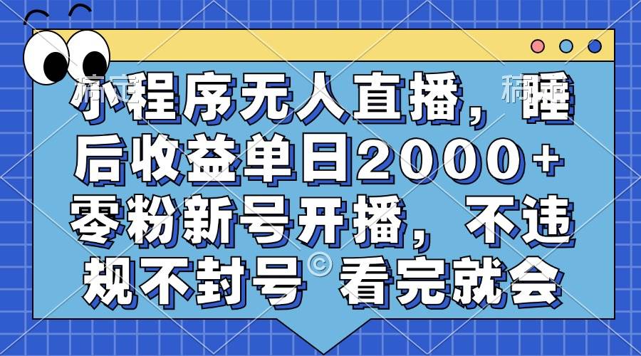 （13251期）小程序无人直播，睡后收益单日2000+ 零粉新号开播，不违规不封号 看完就会-来友网创