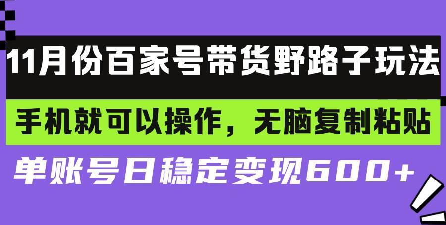 （13281期）百家号带货野路子玩法 手机就可以操作，无脑复制粘贴 单账号日稳定变现…-来友网创