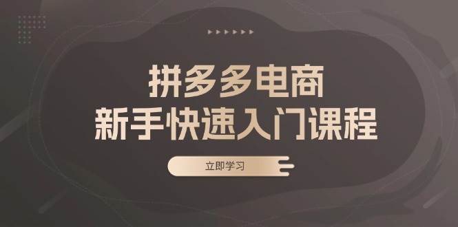 （13289期）拼多多电商新手快速入门课程：涵盖基础、实战与选款，助力小白轻松上手-来友网创