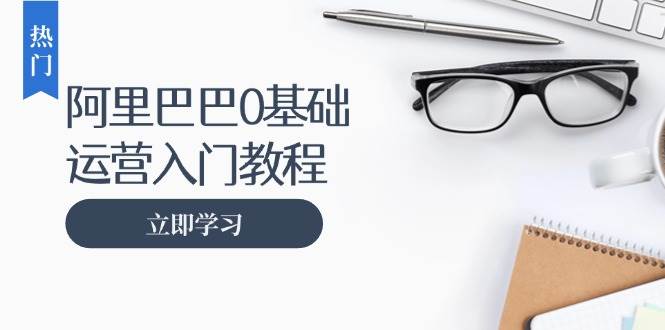 （13291期）阿里巴巴运营零基础入门教程：涵盖开店、运营、推广，快速成为电商高手-来友网创