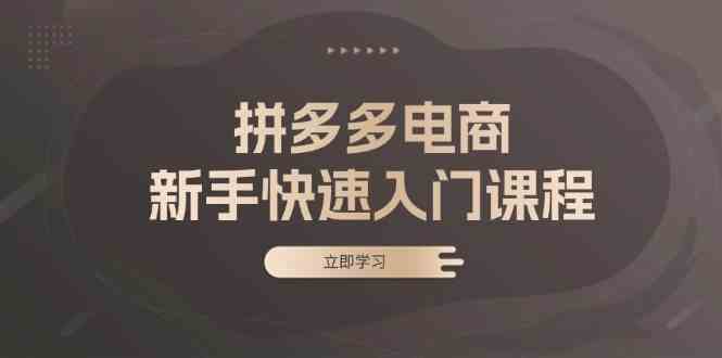 拼多多电商新手快速入门课程：涵盖基础、实战与选款，助力小白轻松上手-来友网创