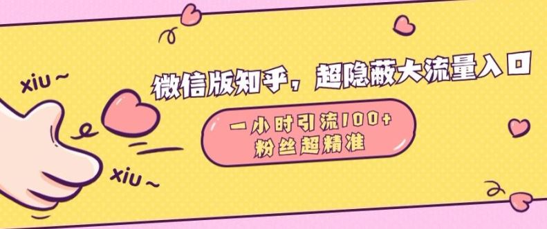 微信版知乎，超隐蔽流量入口1小时引流100人，粉丝质量超高【揭秘】-来友网创