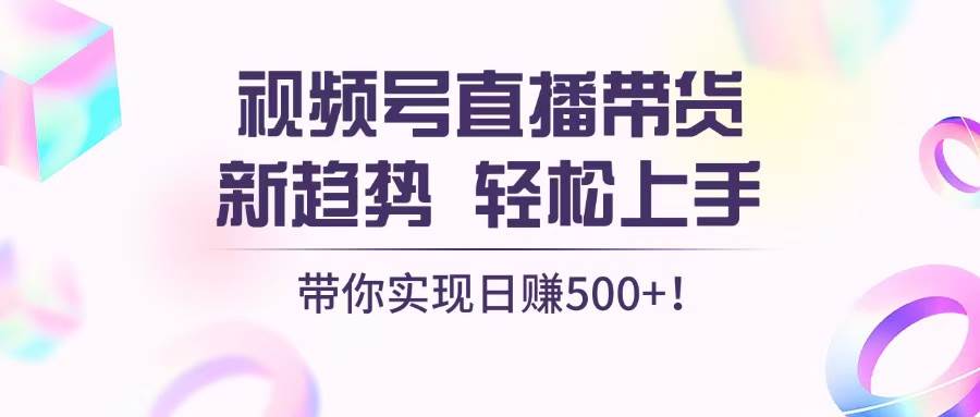 （13370期）视频号直播带货新趋势，轻松上手，带你实现日赚500+-来友网创