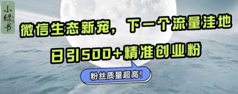 微信生态新宠小绿书：下一个流量洼地，日引500+精准创业粉，粉丝质量超高-来友网创