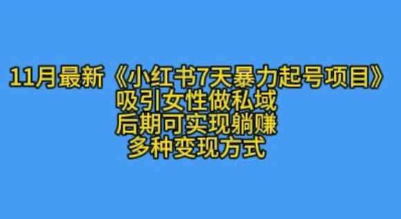 K总部落11月最新小红书7天暴力起号项目，吸引女性做私域【揭秘】-来友网创