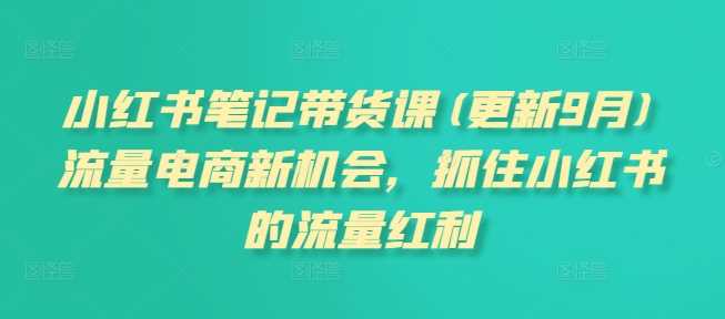 小红书笔记带货课(更新11月)流量电商新机会，抓住小红书的流量红利-来友网创