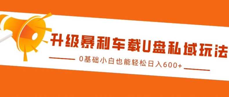 升级暴利车载U盘私域玩法，0基础小白也能轻松日入多张【揭秘】-来友网创