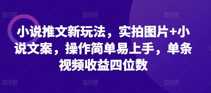 小说推文新玩法，实拍图片+小说文案，操作简单易上手，单条视频收益四位数-来友网创