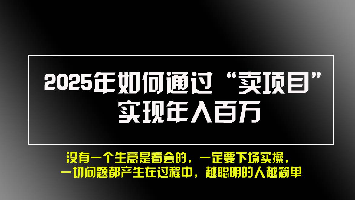 （13468期）2025年如何通过“卖项目”实现年入百万，做网赚必看！！-来友网创