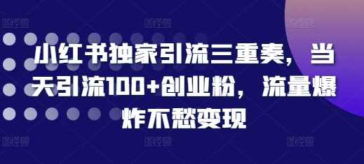 小红书独家引流三重奏，当天引流100+创业粉，流量爆炸不愁变现【揭秘】-来友网创