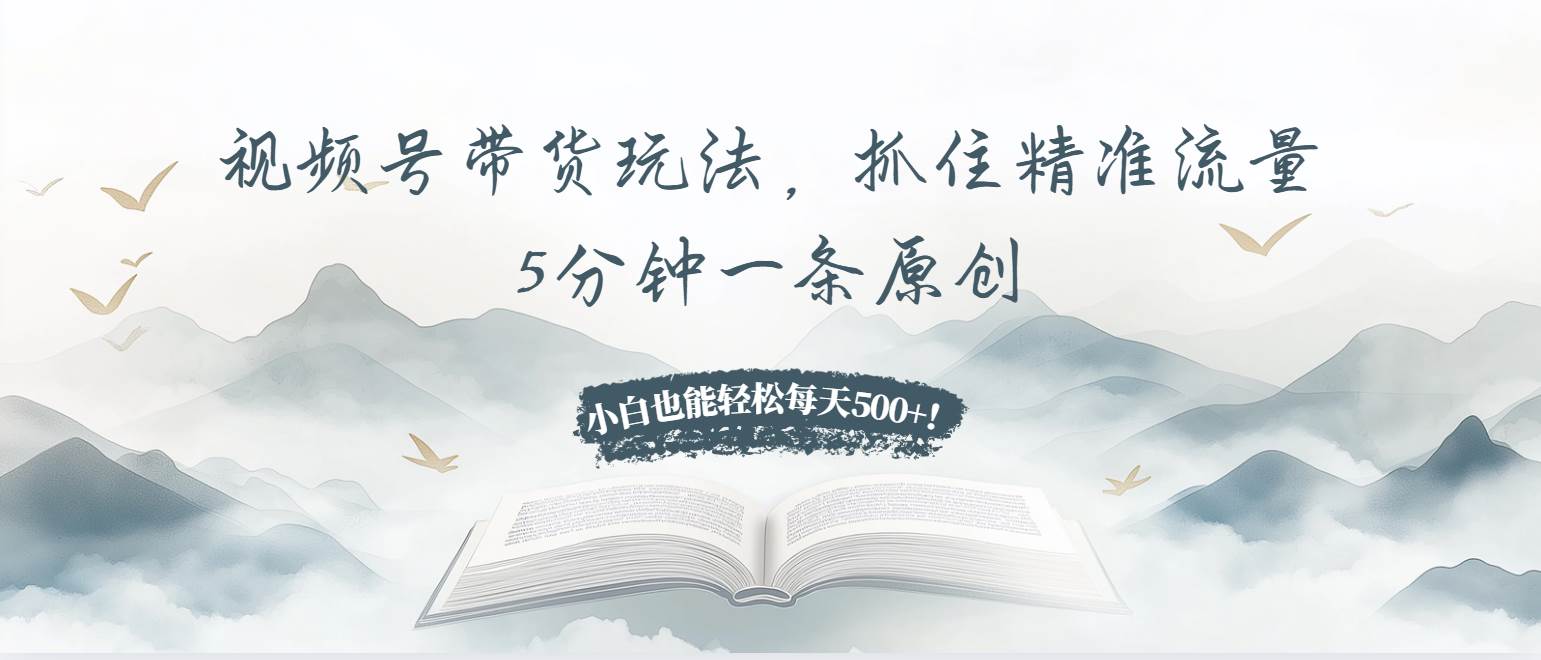 （13492期）视频号带货玩法，抓住精准流量，5分钟一条原创，小白也能轻松每天500+！-来友网创