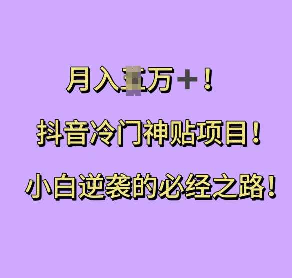 抖音冷门神贴项目，小白逆袭的必经之路，月入过W【揭秘】-来友网创