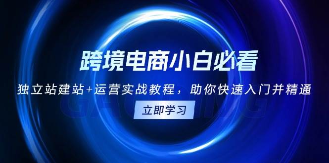 （13503期）跨境电商小白必看！独立站建站+运营实战教程，助你快速入门并精通-来友网创