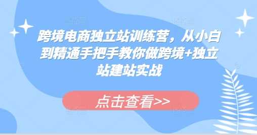 跨境电商独立站训练营，从小白到精通手把手教你做跨境+独立站建站实战-来友网创