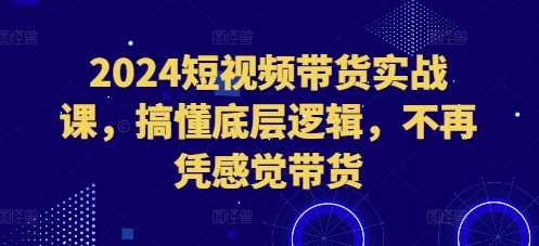 2024短视频带货实战课，搞懂底层逻辑，不再凭感觉带货-来友网创