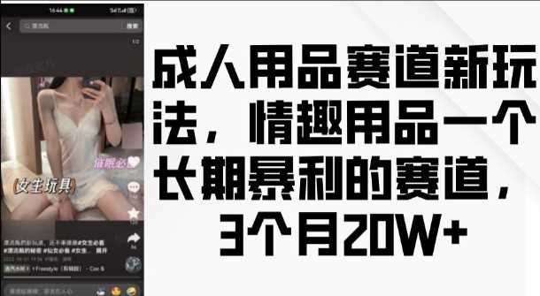 成人用品赛道新玩法，情趣用品一个长期暴利的赛道，3个月收益20个【揭秘】-来友网创