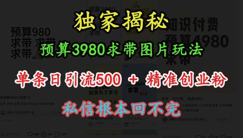 预算3980求带 图片玩法，单条日引流500+精准创业粉，私信根本回不完-来友网创