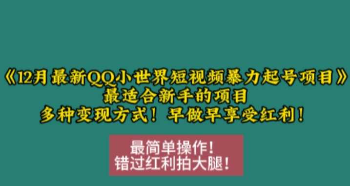 12月最新QQ小世界短视频暴力起号项目，最适合新手的项目，多种变现方式-来友网创