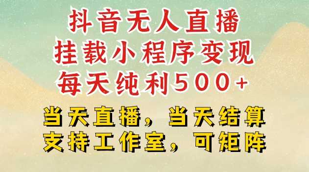 抖音无人直播挂载小程序变现每天纯利500+当天直播，当天结算支持工作室，可矩阵【揭秘】-来友网创