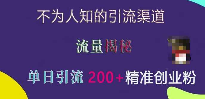 不为人知的引流渠道，流量揭秘，实测单日引流200+精准创业粉【揭秘】-来友网创