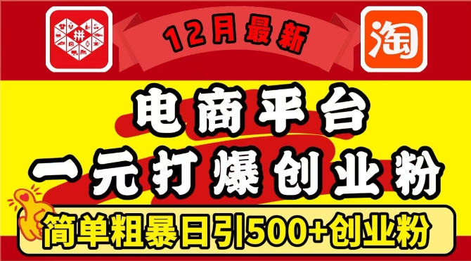 12月最新：电商平台1元打爆创业粉，简单粗暴日引500+精准创业粉，轻松月入过W【揭秘】-来友网创