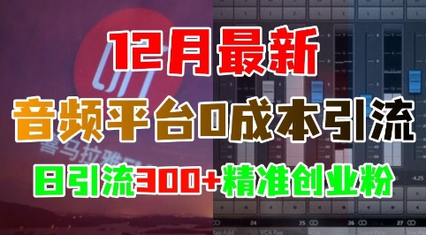 12月最新：音频平台0成本引流，日引流300+精准创业粉-来友网创