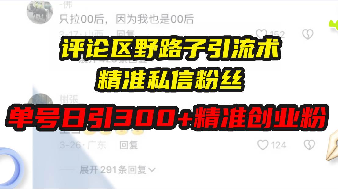 （13676期）评论区野路子引流术，精准私信粉丝，单号日引流300+精准创业粉-来友网创