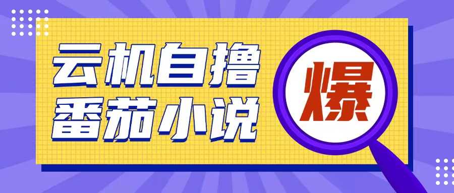 首发云手机自撸小说玩法，10块钱成本可撸200+收益操作简单【揭秘】-来友网创