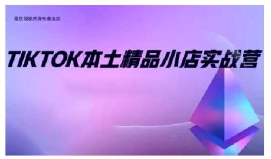 TikTok本土精品小店出海实战营，从入门到高阶，不止0-1!-来友网创