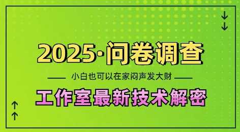 2025问卷调查最新工作室技术解密：一个人在家也可以闷声发大财，小白一天2张，可矩阵放大【揭秘】-来友网创