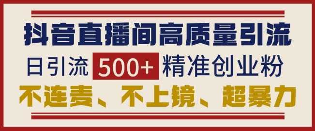 抖音直播间引流创业粉，无需连麦、不用上镜、超暴力，日引流500+高质量精准创业粉-来友网创