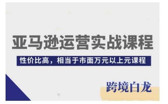 亚马逊运营实战课程，亚马逊从入门到精通，性价比高，相当于市面万元以上元课程-来友网创