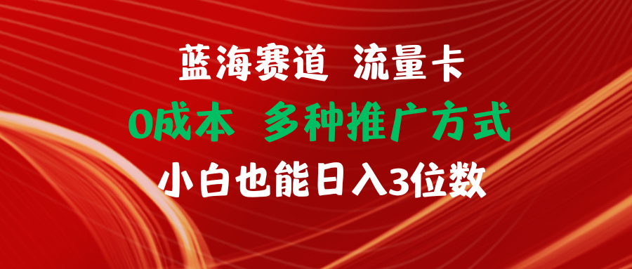 【站长实操】蓝海赛道 流量卡 0成本 小白也能日入三位数-来友网创