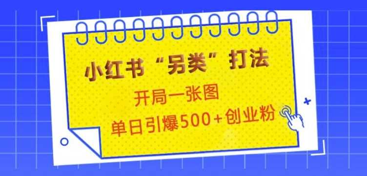 小红书“另类”打法，开局一张图，单日引爆500+精准创业粉【揭秘】-来友网创