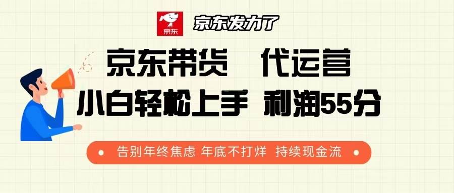 （13833期）京东带货 代运营 利润55分 告别年终焦虑 年底不打烊 持续现金流-来友网创