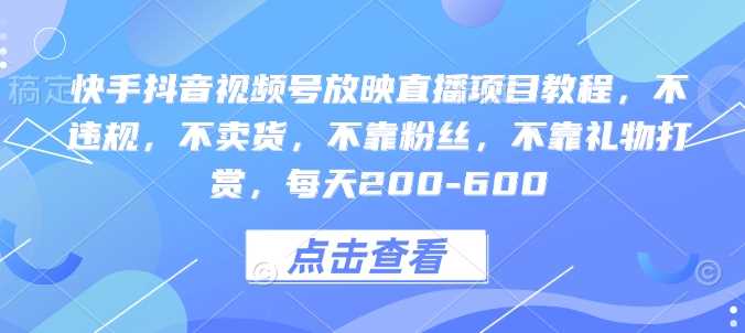 快手抖音视频号放映直播项目教程，不违规，不卖货，不靠粉丝，不靠礼物打赏，每天200-600-来友网创