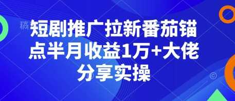 短剧推广拉新番茄锚点半月收益1万+大佬分享实操-来友网创