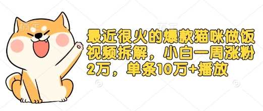 最近很火的爆款猫咪做饭视频拆解，小白一周涨粉2万，单条10万+播放(附保姆级教程)-来友网创