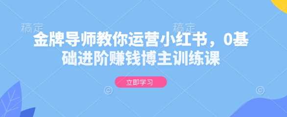 金牌导师教你运营小红书，0基础进阶赚钱博主训练课-来友网创