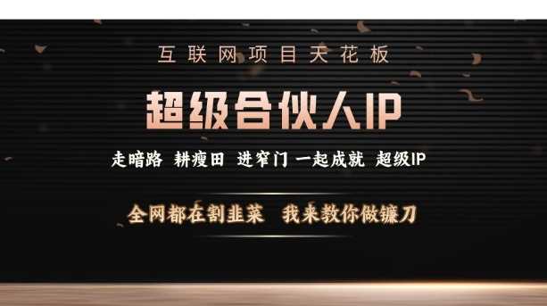 互联网项目天花板，超级合伙人IP，全网都在割韭菜，我来教你做镰刀【仅揭秘】-来友网创