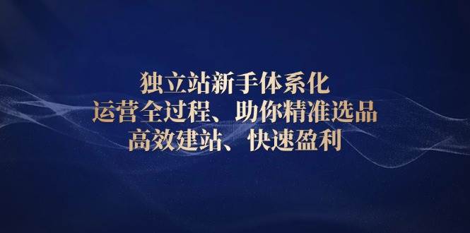 （13914期）独立站新手体系化 运营全过程，助你精准选品、高效建站、快速盈利-来友网创