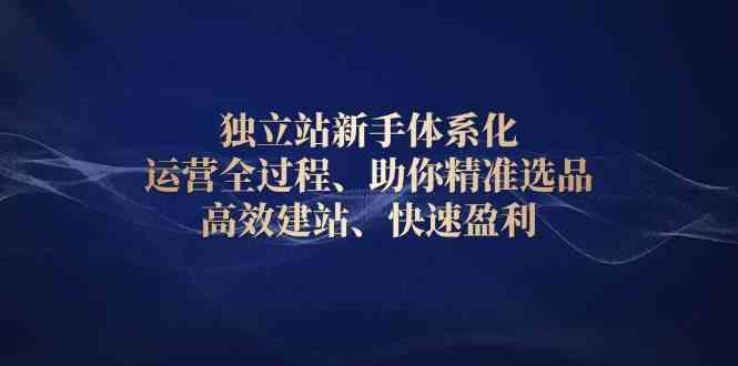 独立站新手体系化 运营全过程，助你精准选品、高效建站、快速盈利-来友网创