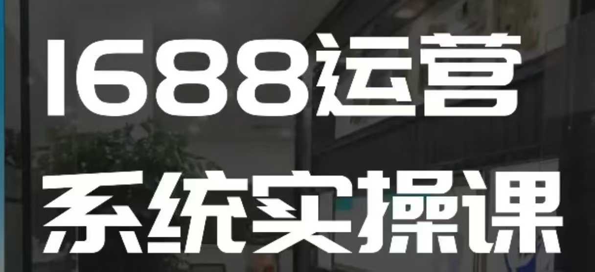 1688高阶运营系统实操课，快速掌握1688店铺运营的核心玩法-来友网创